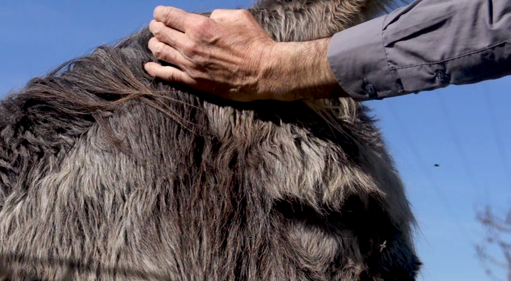 De nos propres mains