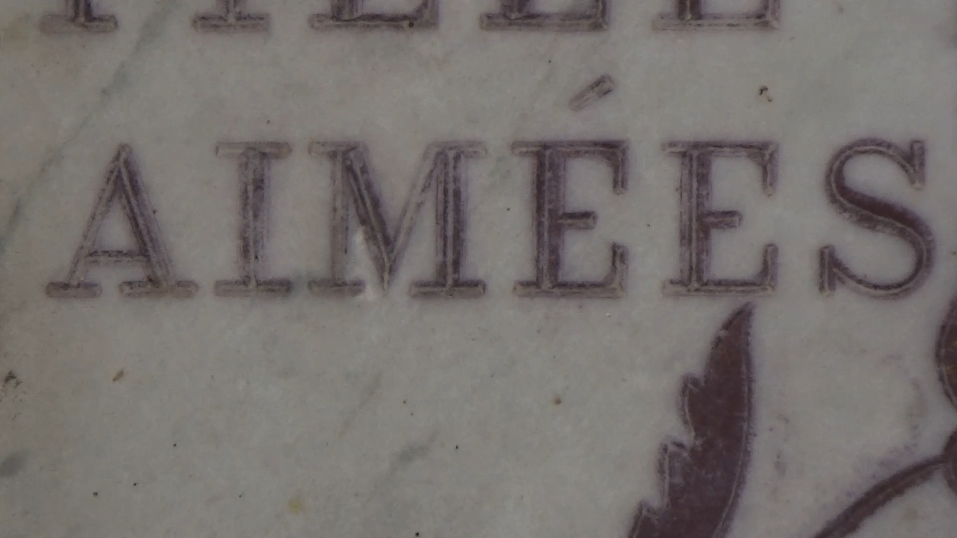 Tant qu’il y aura des doudous