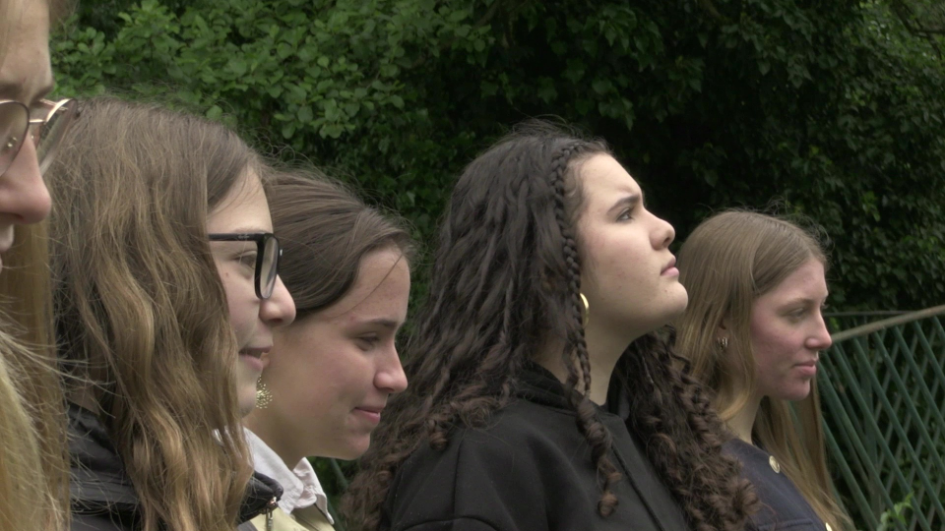 Mémoire d’un orme