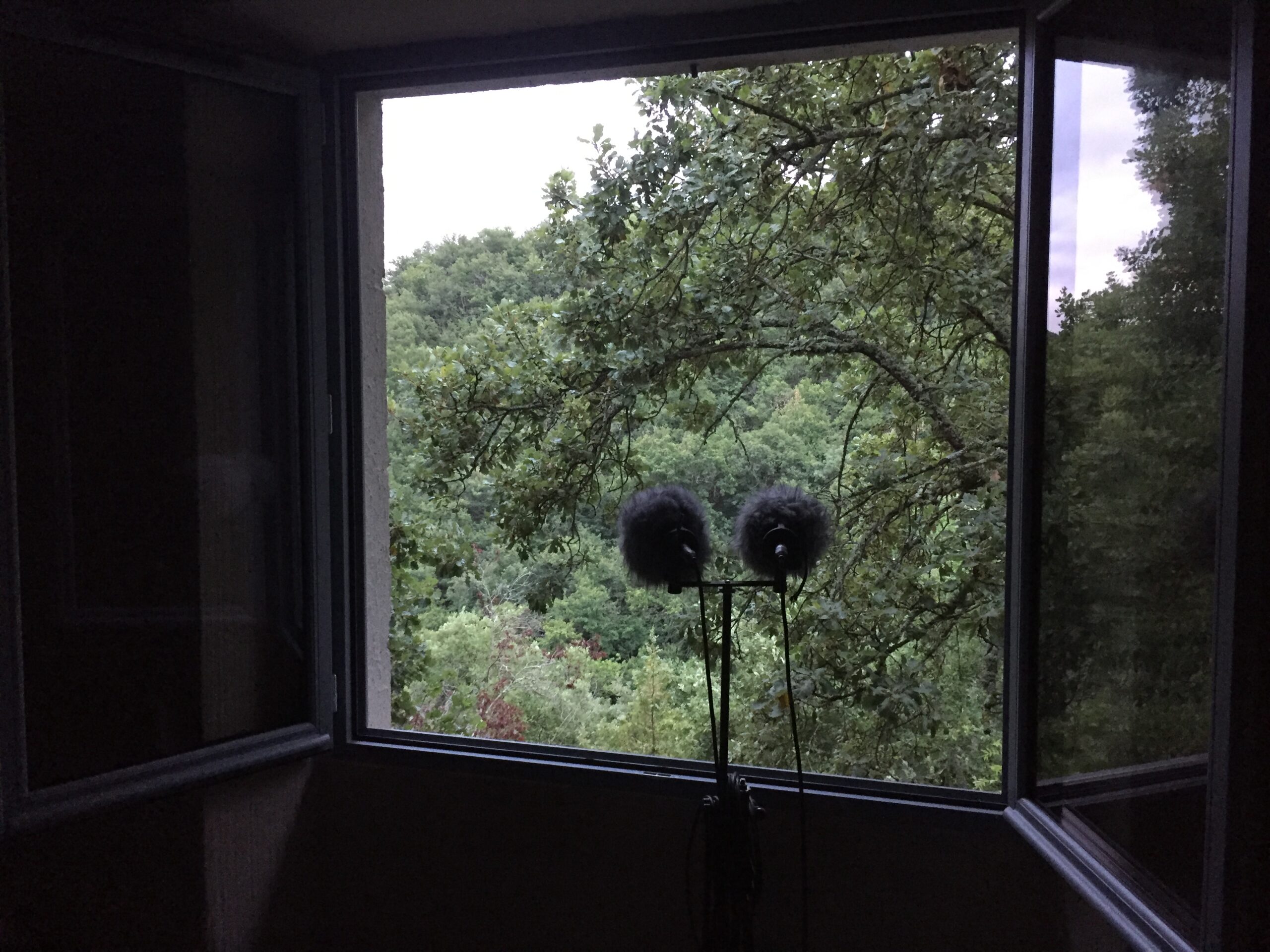 Petit-déjeuner sonore – Défendre la création sonore